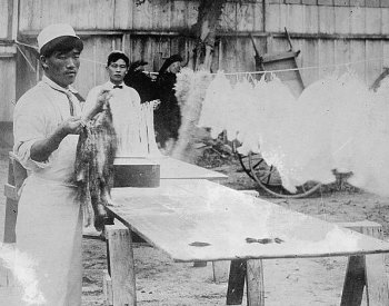 Image: Photo of Japanese men in California published by Bain News Service in 1913. From the Library of Congress.