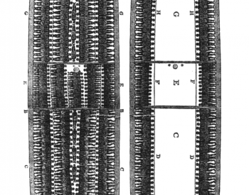 Image: 1790 Diagram of a ship from the Atlantic slave trade. From the Wikimedia Commons.